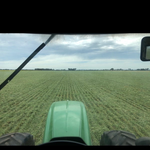 Barley Pea Raddish silage bales Farm Tender