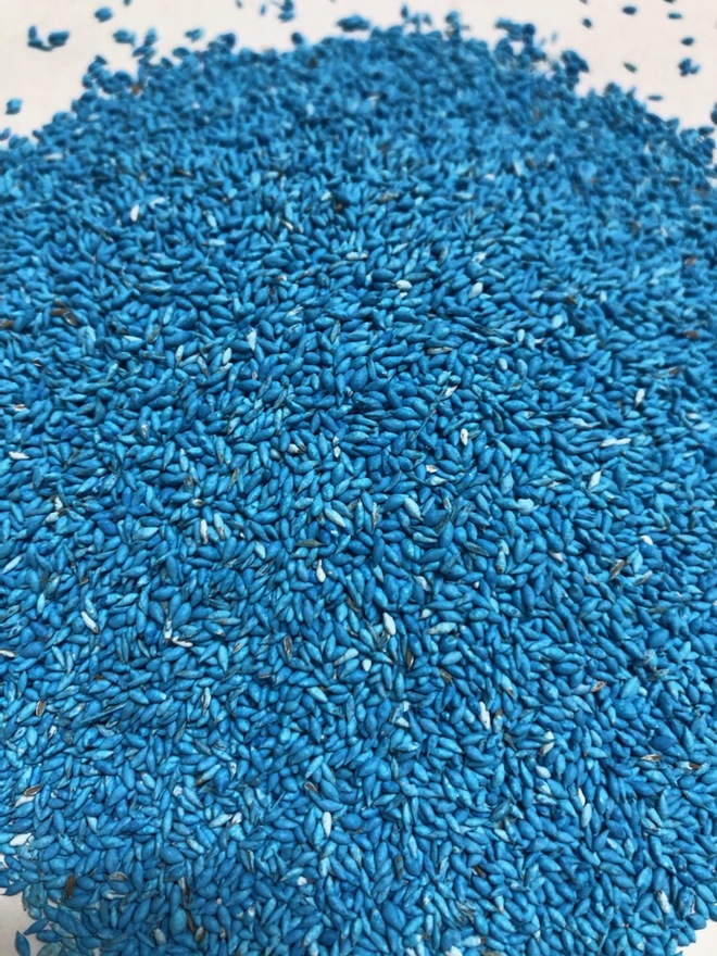 Premier Digit Seed Farm Tender