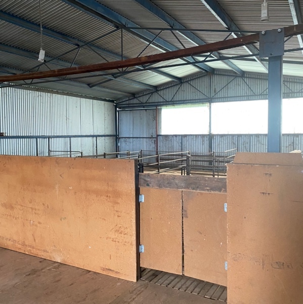 Two Stand Gisborne Shearing Shed Farm Tender