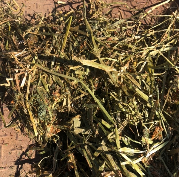 clover/oat hay Farm Tender