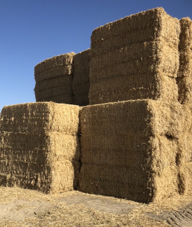 Barley straw for sale Farm Tender