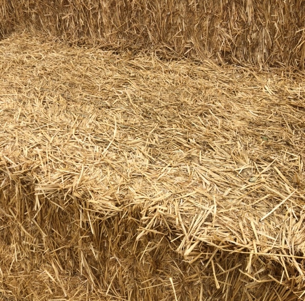 Wheat Straw Farm Tender