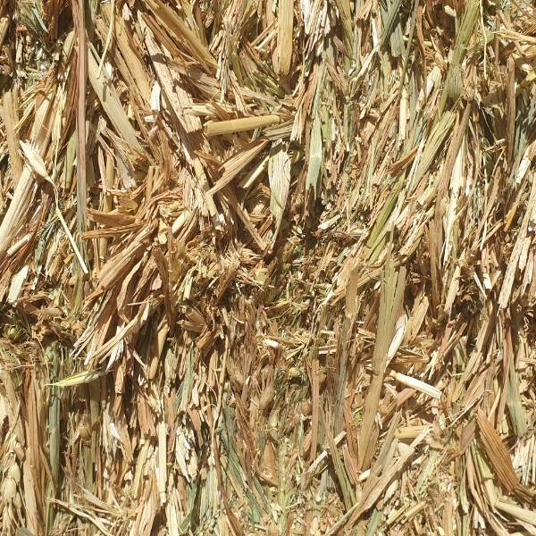 Oaten hay Farm Tender