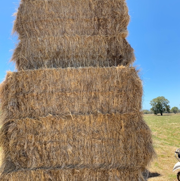 Clover & Rye Grass Hay 8x4x3 Large Squares Farm Tender