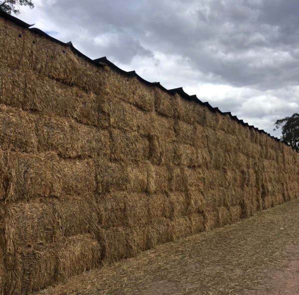 200mt Wheat Straw 570kg 8x4x3 Bales Farm Tender