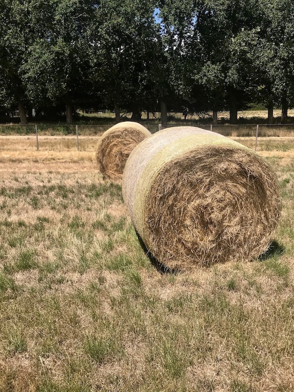 2018 Rye Grass Hay Farm Tender