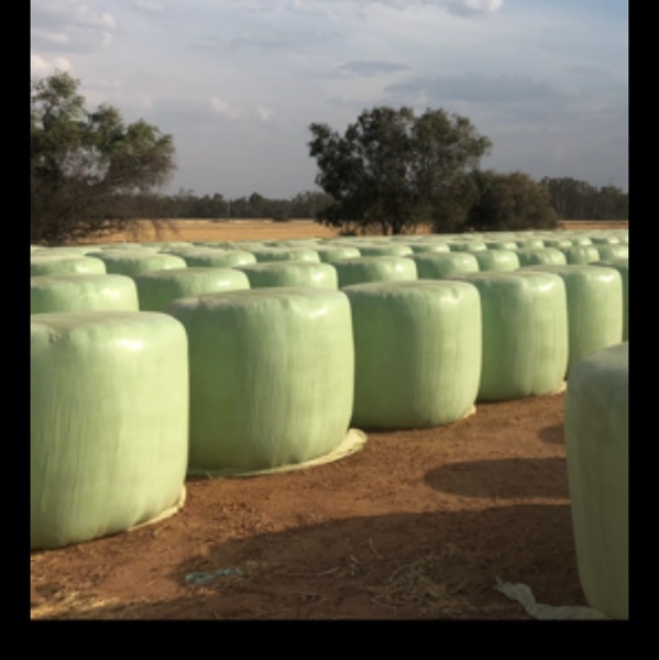 BARLEY SILAGE FOR SALE Farm Tender