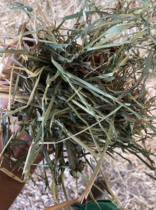 250mt Ryegrass/Clover Hay 640kg 8x4x3 Bales Farm Tender