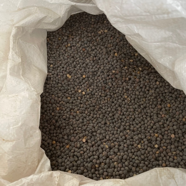 Vetch Seed | Farm Tender