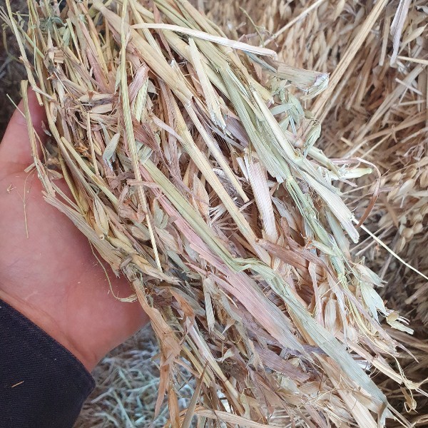 160mt Clover/Oat Hay mix 650kg 8x4x3 Bales (19/20 Season) Farm Tender