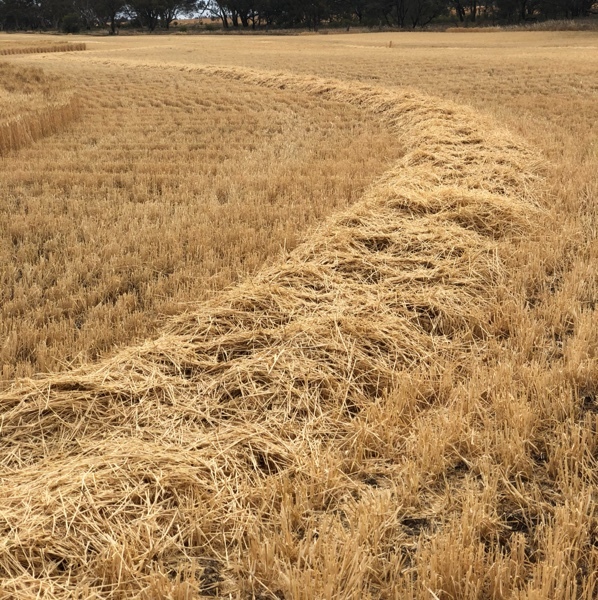 Barley straw Farm Tender