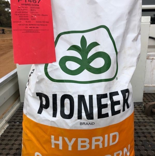 20 bags of Pioneer 1467 maize seed Farm Tender